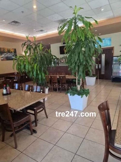 Phở Filet Cần Sang Nhượng Nhà Hàng Phở Tại San Antonio, TX