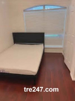 Cho Share Phòng Ở Sachse, TX 75048 Gần Firewheel & Sachse Tại Center, Texas