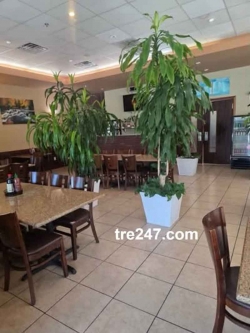 Phở Filet Cần Sang Nhượng Nhà Hàng Phở Tại San Antonio, TX