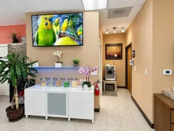Sang Tiệm Nail Khu Portland, Oregon – Rent $3030/ month